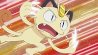 EP611 Meowth usando golpes furia