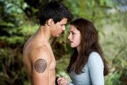 Bellaandjacobnewmoon