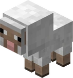 Lamb