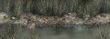 Qu'sMarshShore4