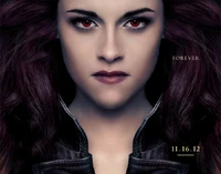Bella BDp2 double sided