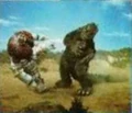 Goji garoborg