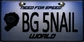 WorldLicensePlateBG5NAIL