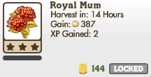 Royal Mum Market Info