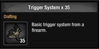Trigger System