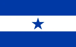 Southern flag