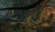 FossilRooNest2