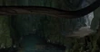 FossilRooNest4