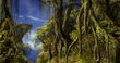 IifaTreeEvent5