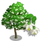 Japanese Snowbell Tree-icon