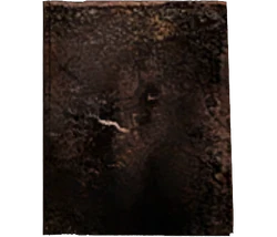 Burned Book