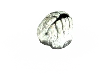 Skyrim-egg-sac