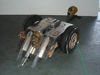 Skull mania