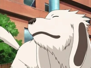 Akamaru parte II