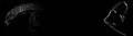 Thumbnail for version as of 16:06, June 13, 2012
