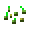 Seeds