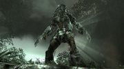 Dark predator