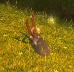 PlowPlant