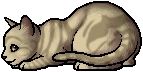 Dawnpelt.kit.png (7 KB) Dawnpelt.kit