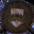 Dalish Shield
