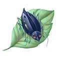 Rita Slita som en animagus