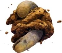 Space slug 2