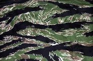 Tiger Stripe
