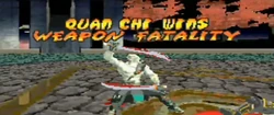 Weapon fatality