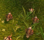 VirmenSwarmling