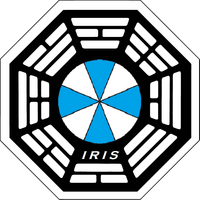 IRIS Initiative 1