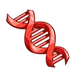 Red DNA-icon