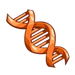 Orange DNA-icon