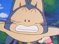 Puar searching the RR base