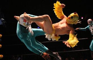 Mexican-wrestling- 1399516i