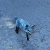 Kun-Lai Summit Arctic-Foxling00