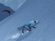 Kun-Lai Summit Arctic-Foxling01