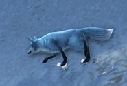Kun-Lai Summit Arctic-Foxling02