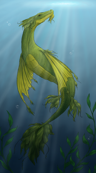 SeaweedDragonFanart