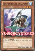 BigJaws-BP01-SP-C-1E