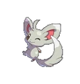 Minccino Conquest.png