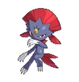 Weavile Conquest.png