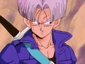 Trunks Looking