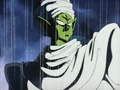 Piccolo!!
