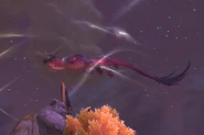 Vale Alani00