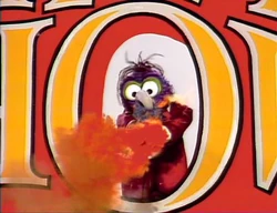 211 gonzo trumpet