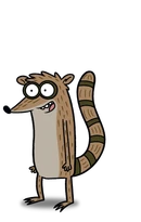 Rigby character