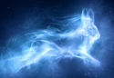 Patronus Hare