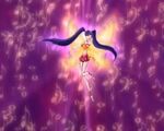 Musa Enchantix