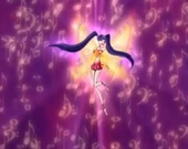 Musa Enchantix