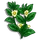 White Cloud Tea-icon